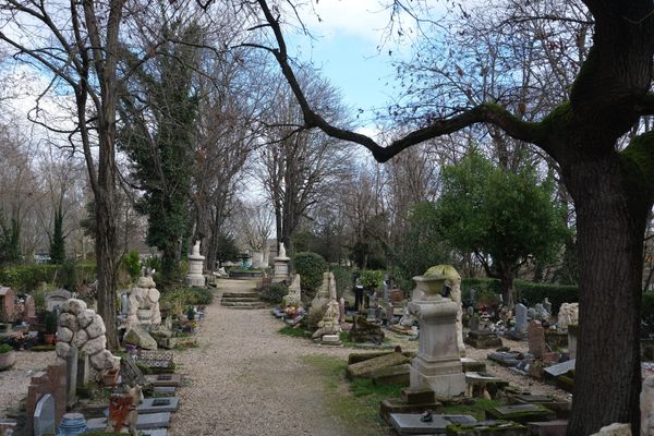 Meow Father Who Art in Heaven