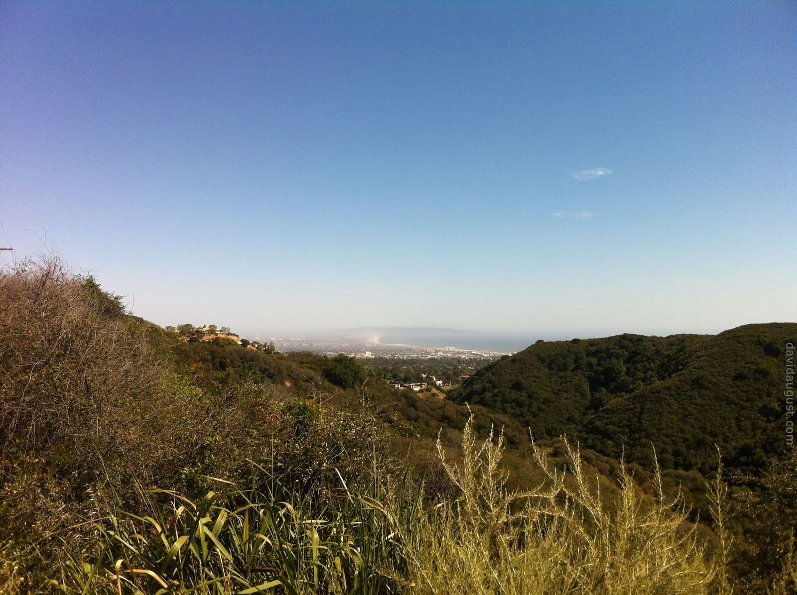 A panoramic view of a cityscape and ocean shoreline in the distance, with rolling hills and vegetation in the foreground under a clear blue sky.