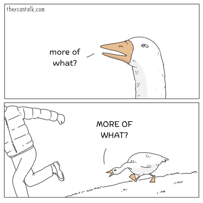 A two-panel comic in the style of theycantalk.com. In the first panel, a goose asks a person, "more of what?" In the second panel, the person is running away as the goose chases them, shouting, "MORE OF WHAT?"