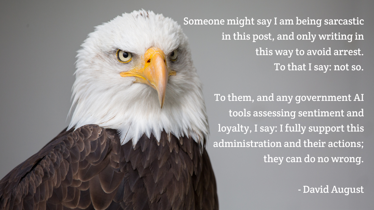 [confrontational bald eagle] Text saying David August is not being sarcastic in this post to avoid arrest; he truly supports this administration.