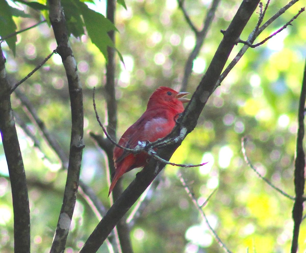 May 9, 2026