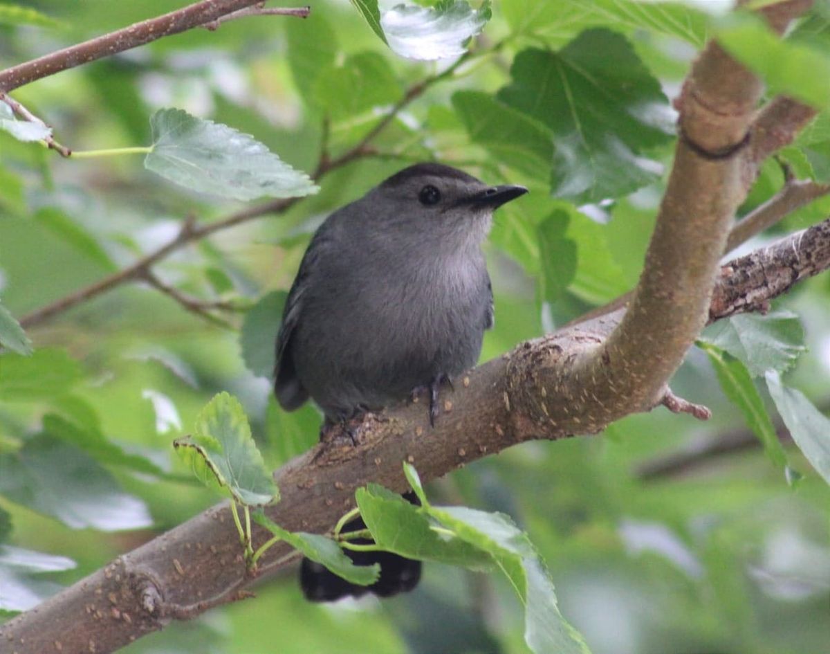 June 18, 2026