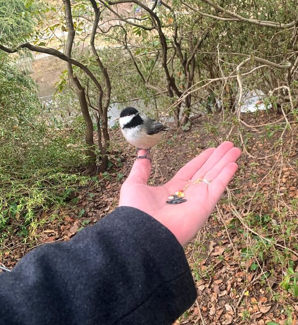 April 28, 2026 - Patrick Doyle, Guest Birder