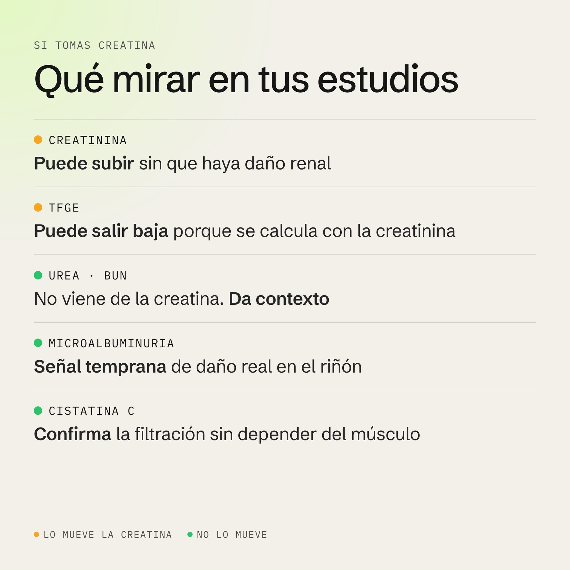 Qué medir si tomas creatina: creatinina, TFGe, urea, microalbuminuria y cistatina C