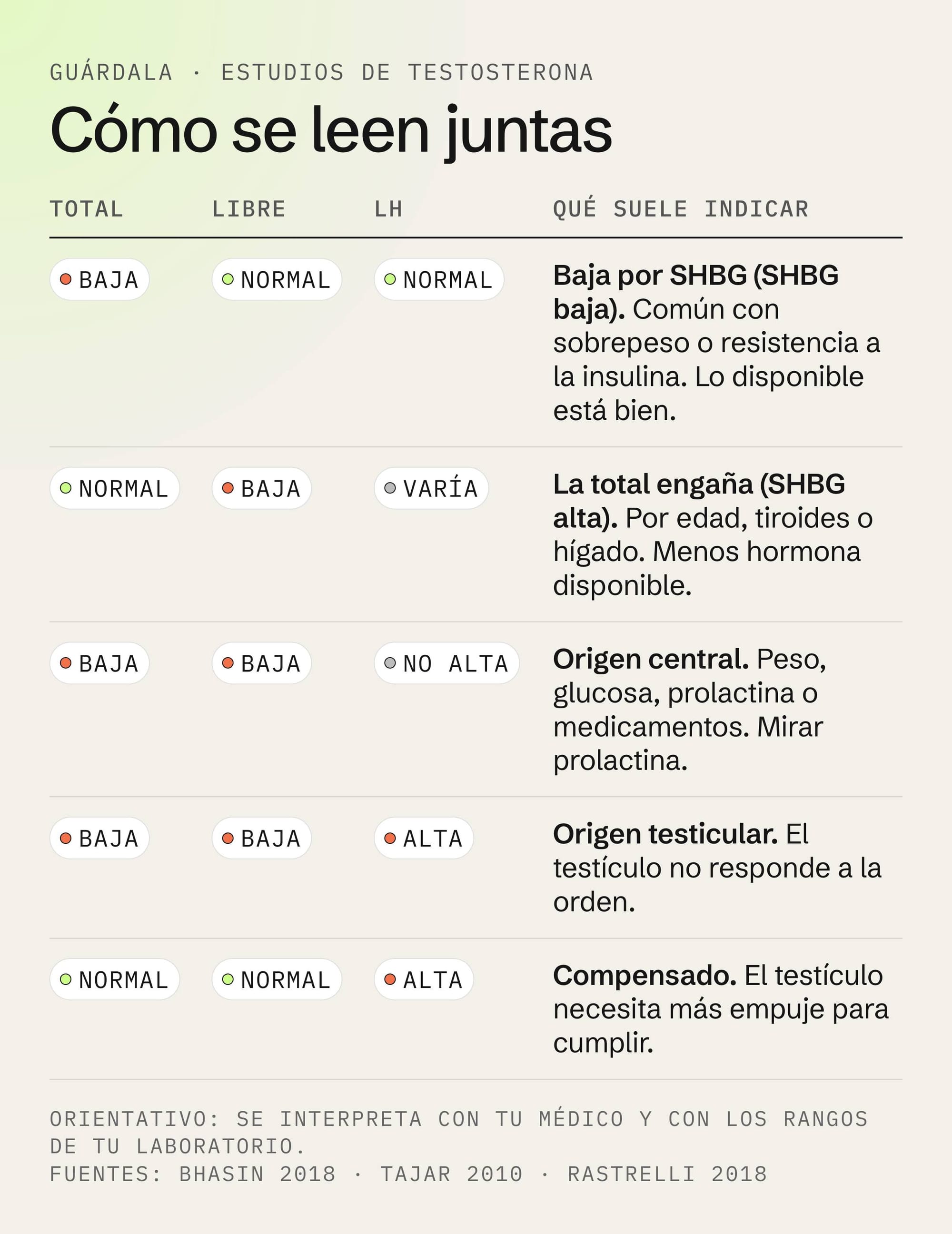 Tabla para guardar: cómo se leen juntas la testosterona total, la libre y la LH en los estudios de testosterona, con el papel de la SHBG