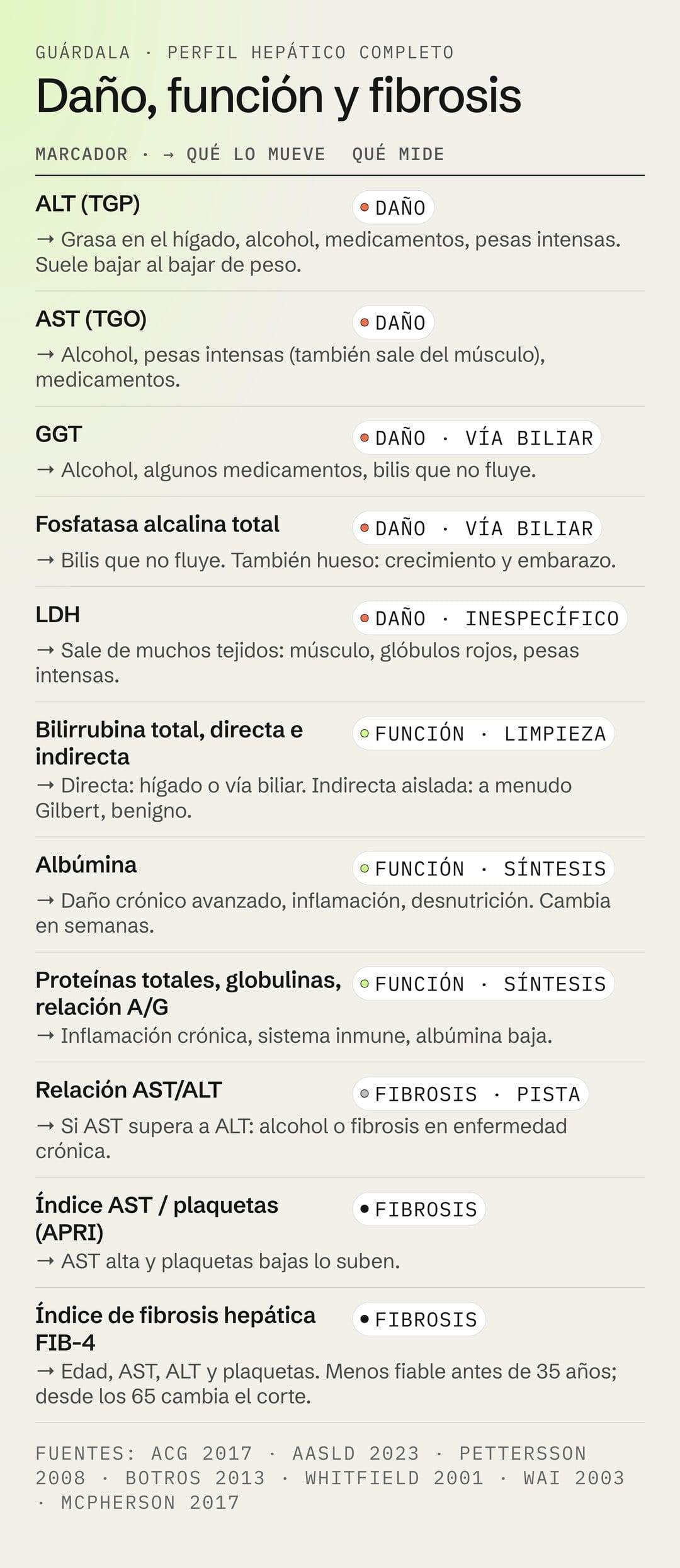 Tabla del perfil hepático completo: qué mide cada marcador (daño, función o fibrosis) y qué lo mueve