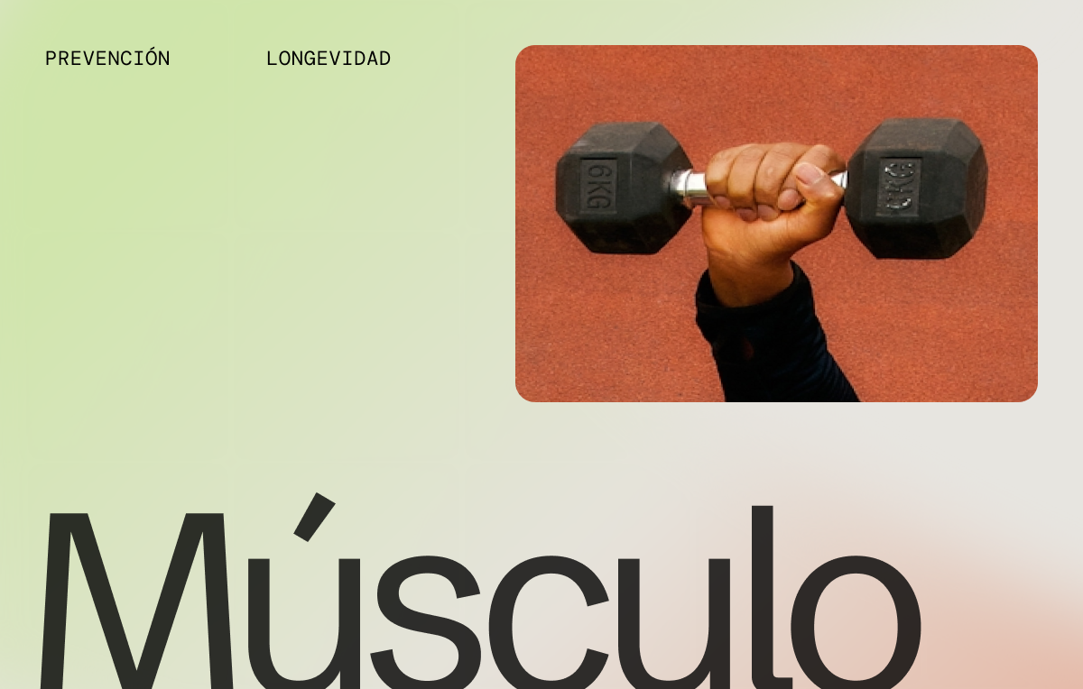 El secreto mejor guardado de tu metabolismo