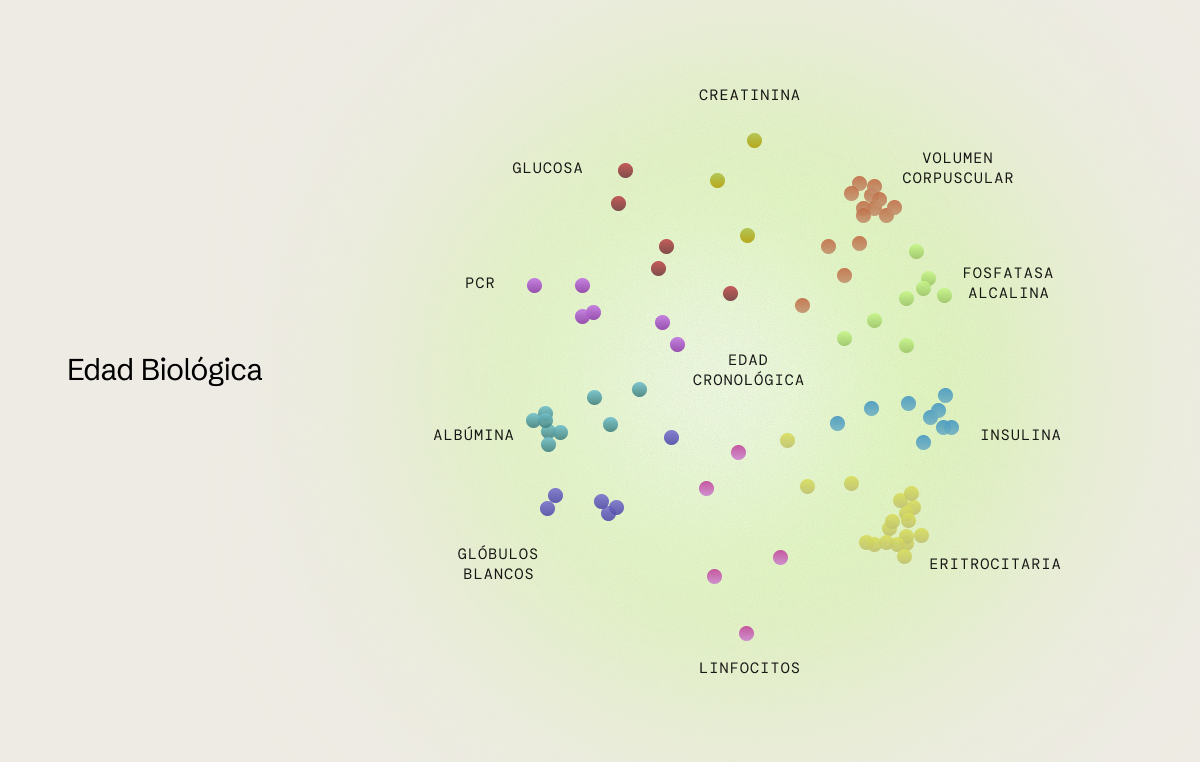 Edad biológica: el marcador de envejecimiento saludable