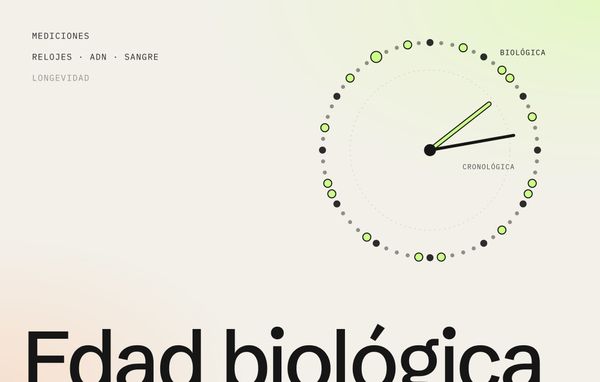 Edad biológica: diagrama de un reloj con marcas de metilación y dos manecillas, la cronológica y la biológica