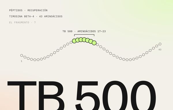 TB 500: cadena de 43 aminoácidos de la timosina beta-4 con los siete del fragmento resaltados en lima