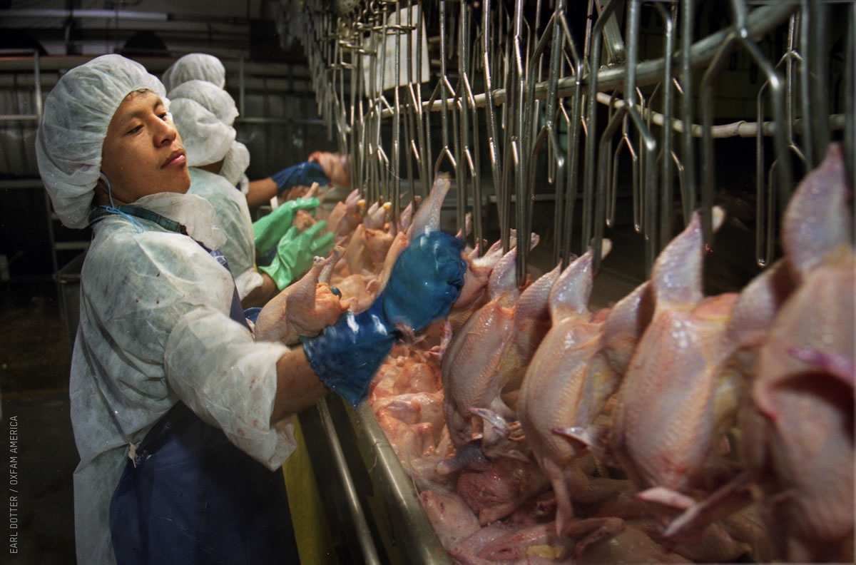 Immigrant Meatpackers Fightback Against Intimidation & Death Traps