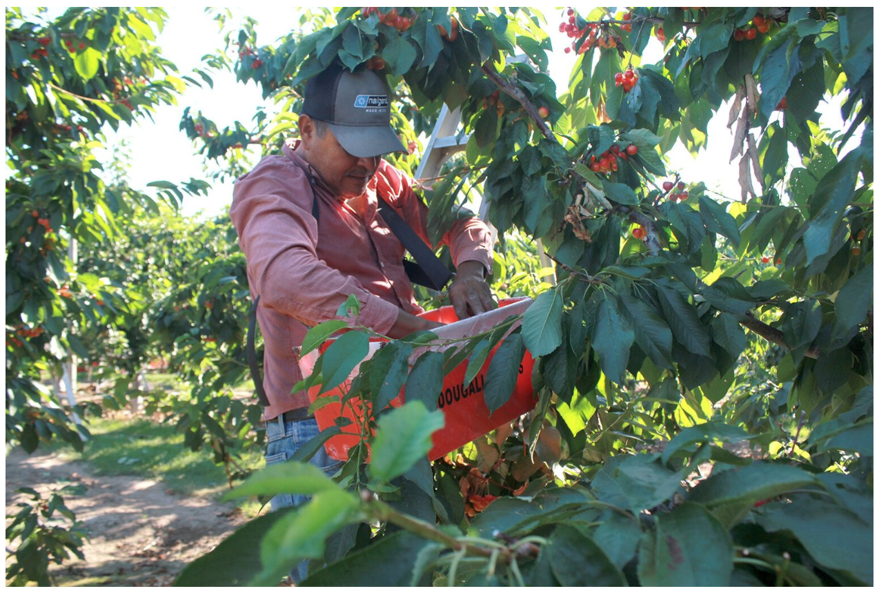 Biden Begins Rulemaking on OSHA Heat Standard, But It Could Take 10 Years