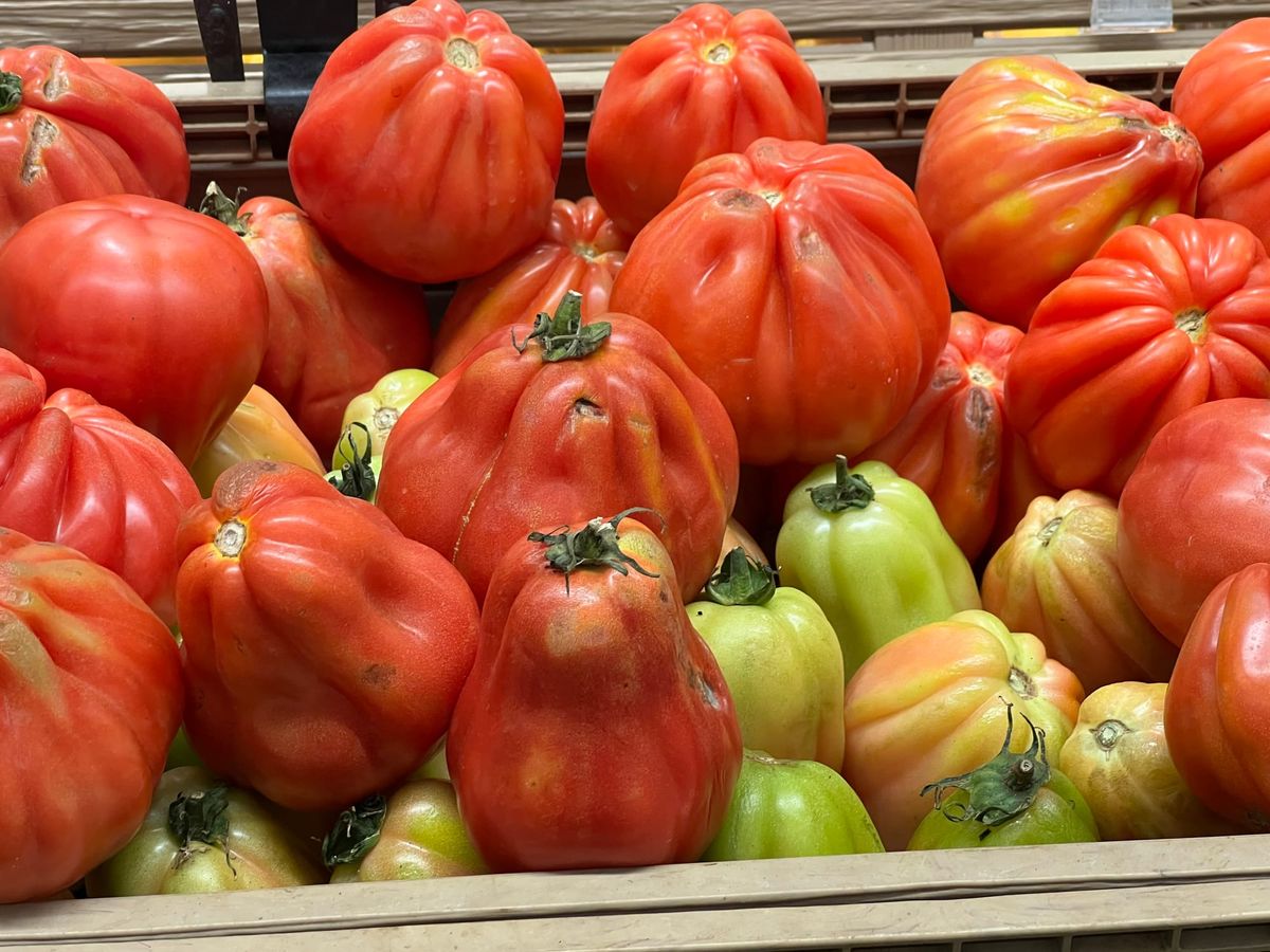 Mountain of Tomatoes - Campagna, Italy