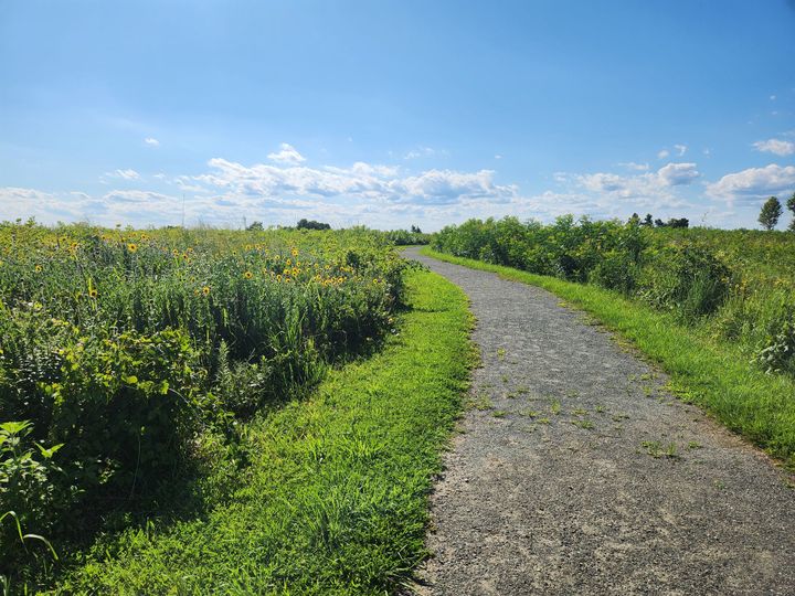 Travel, Travel, Travel