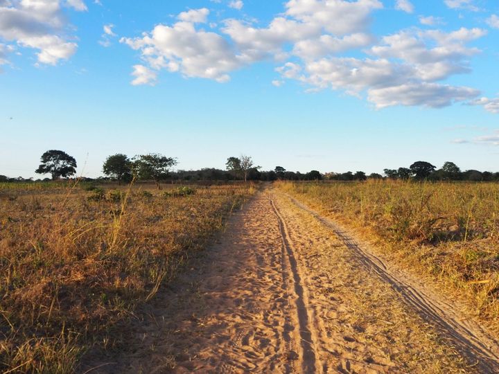 Tanzania To North Dakota