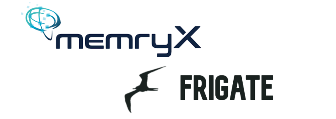 MemryX + Frigate Manual Setup