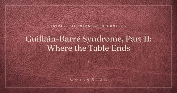 A Causal Word in a Diagnosis Line Records the Order, Not the Cause