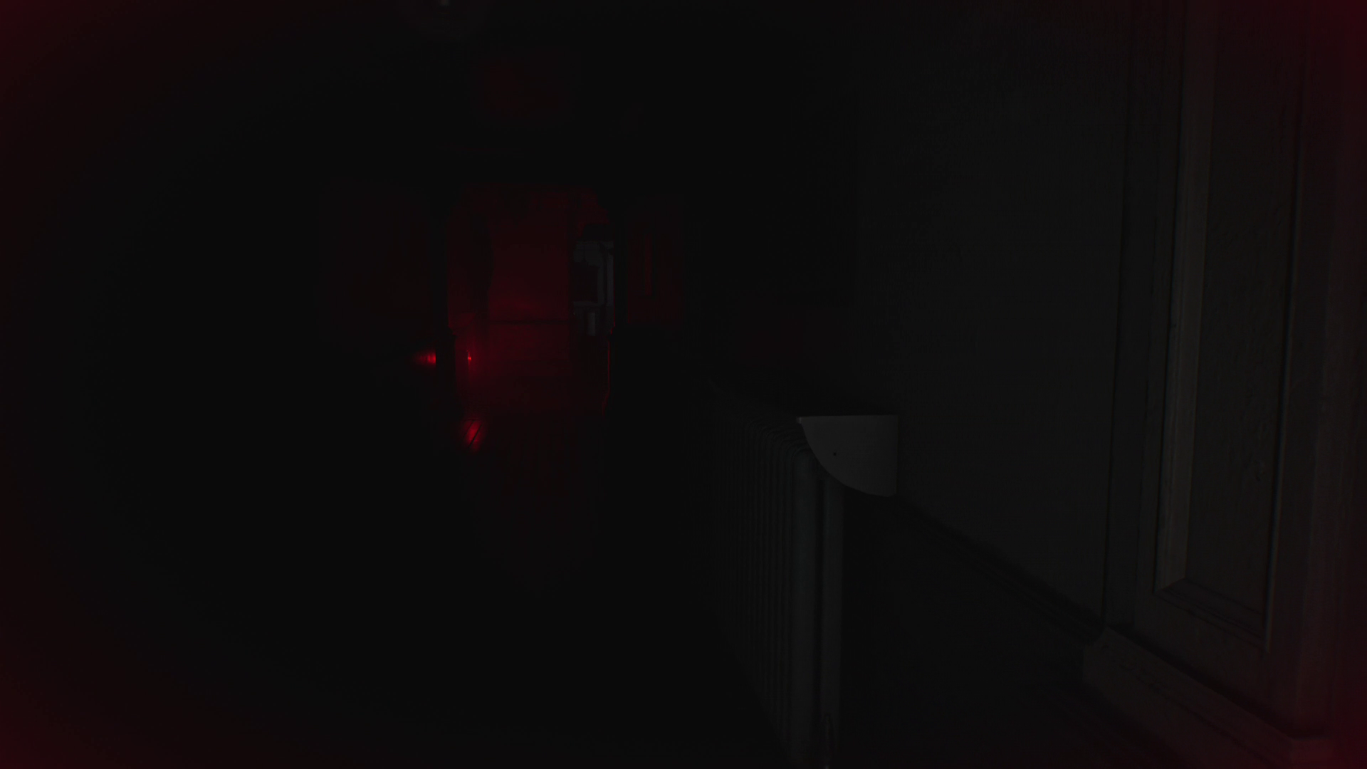 An acutal screenshot from RE9 showing just how dark the screen can get.