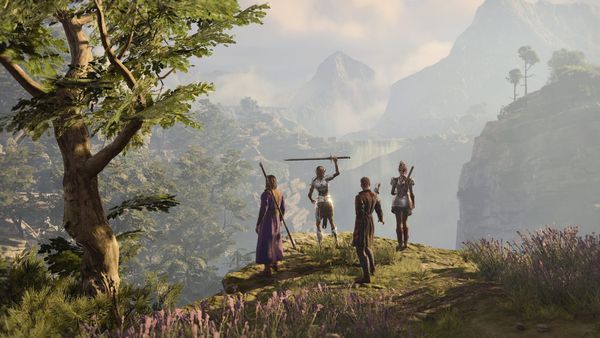 Baldur's Gate 3 screenshot of four party members standing near a cliff edge, one of them holding up a sword