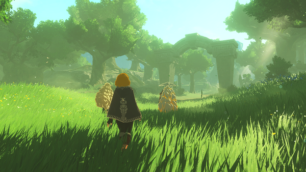 Shows Zelda following the old royals through a field. 