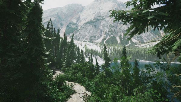 A luscious forest filled with green leaf trees, a snowy mountain in the background 