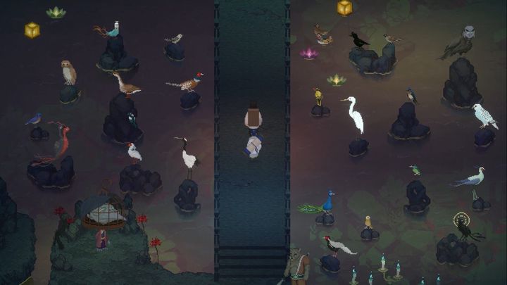 Someone walking across a bridge, birds standing on rocks on both sides can be seen