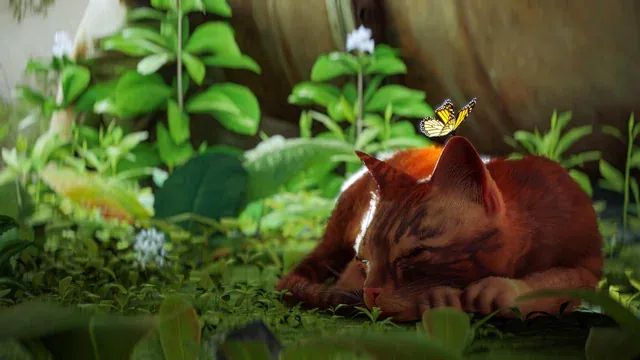 Stray - Entry 1: The Fall