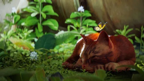 Stray - Entry 1: The Fall