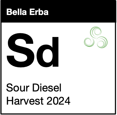 Sour Diesel
