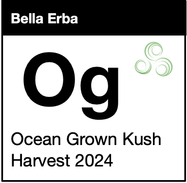 Ocean Grown Kush