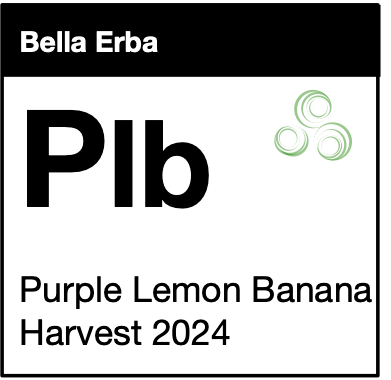 Purple Lemon Banana