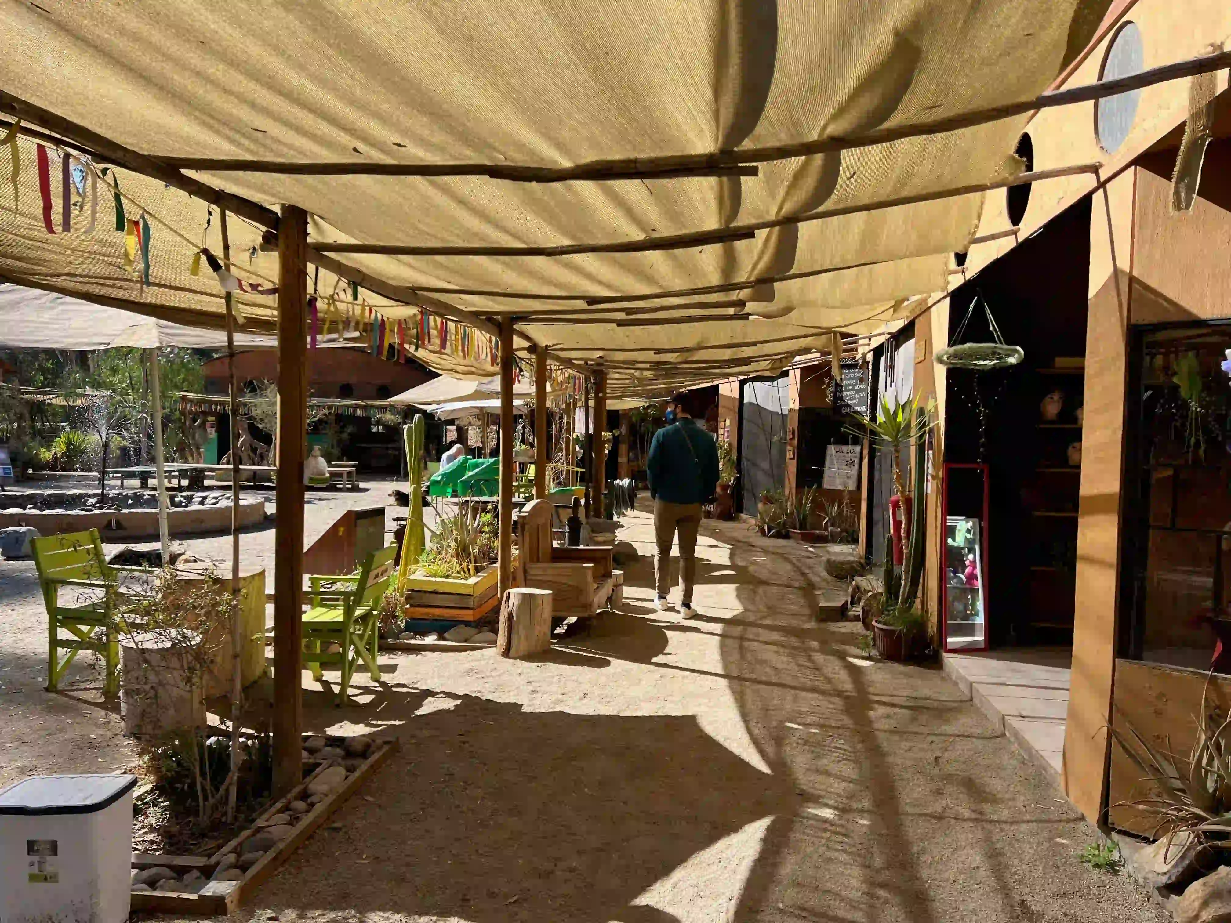 craft market in valle elqui