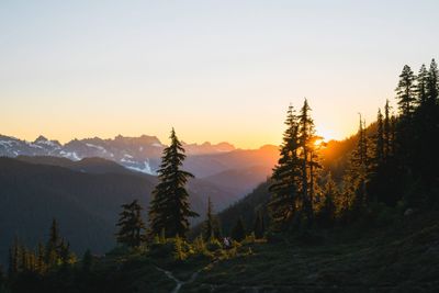 The problem with summer