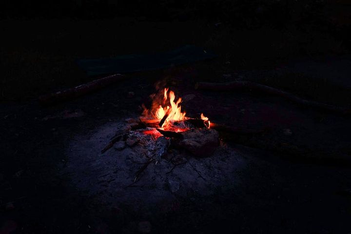 campfire in a dark wooded setting, close up