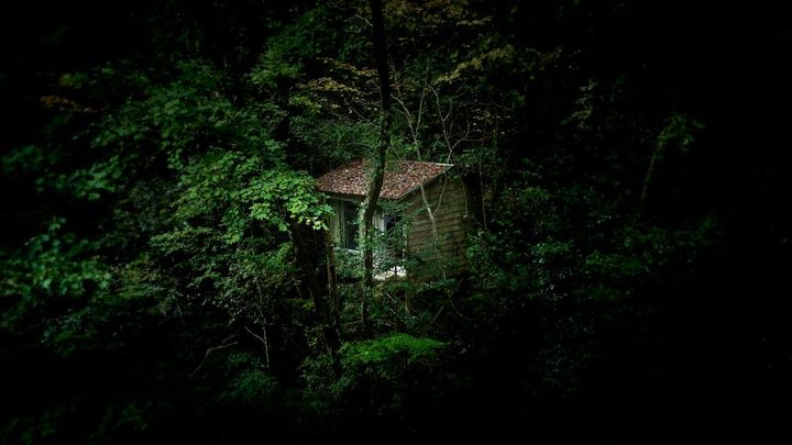 A cabin in the woods