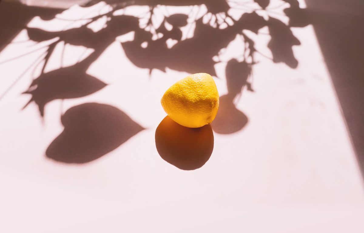 [공지] 처음 오신 분들께 인사