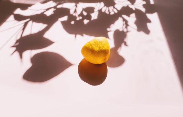 [공지] 처음 오신 분들께 인사