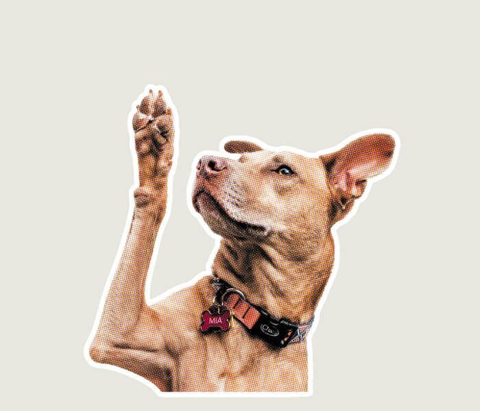 Ask, And You Shall Get