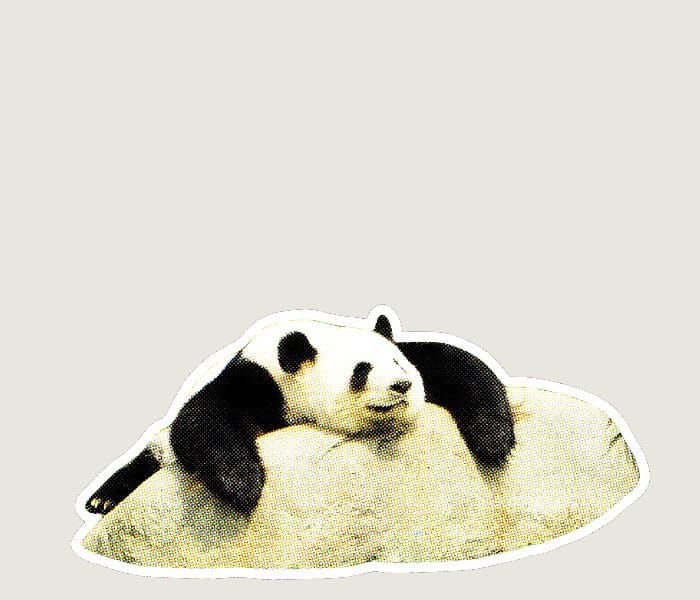 What's the Worst That Could Happen?