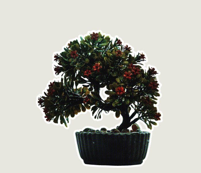 The Art of Unhurried Spaciousness Through Yutori