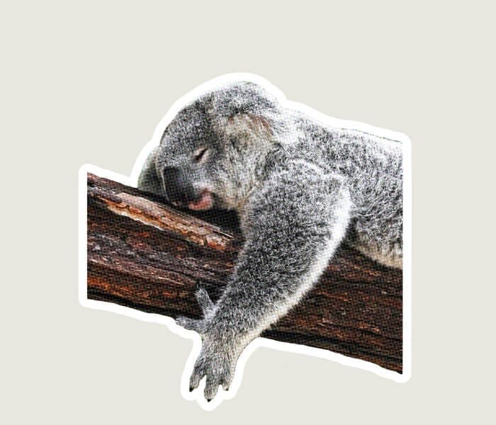 The Lifestyle Changes That Help Me Sleep Well Every Day