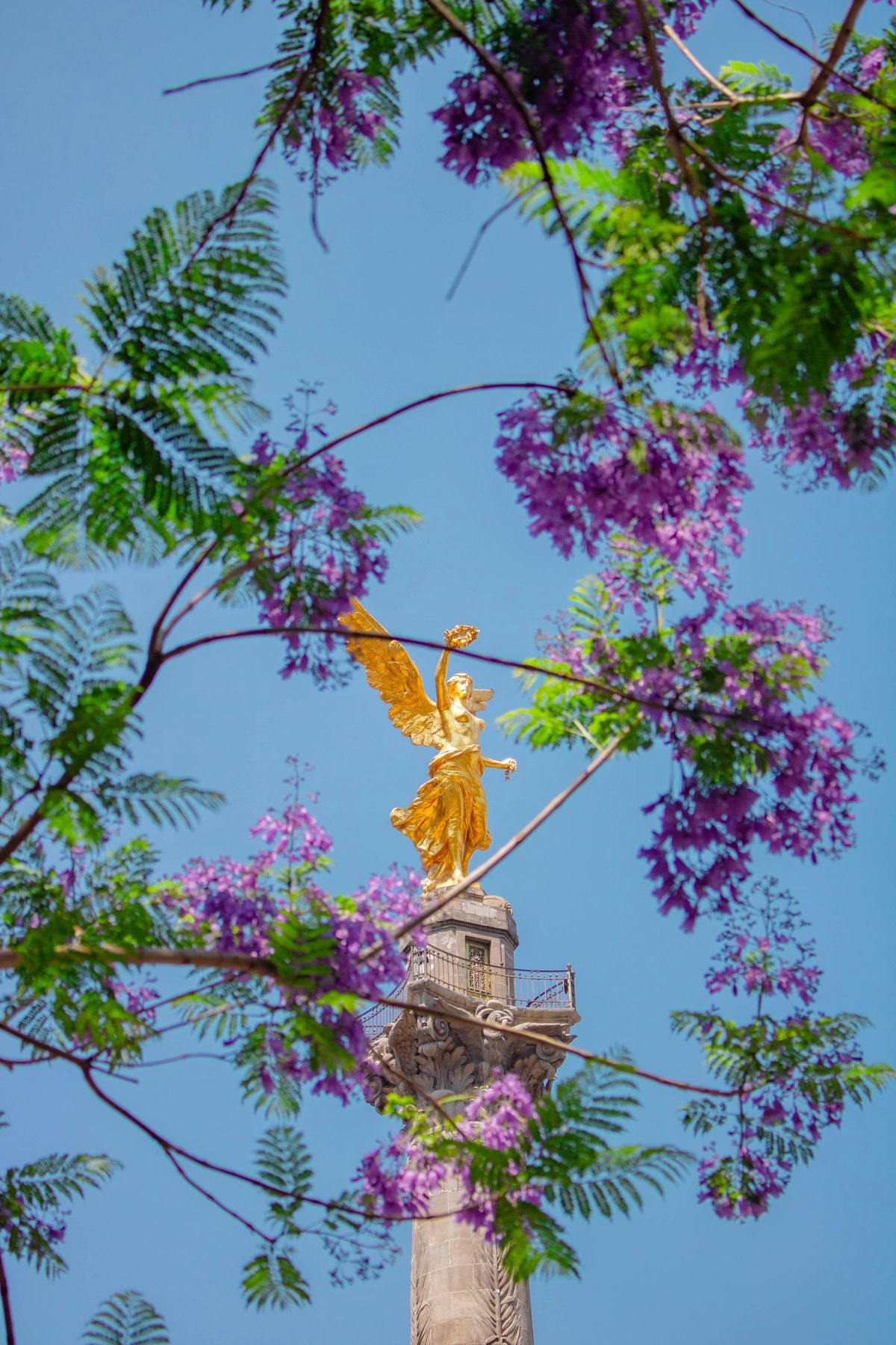 Update from Mexico City