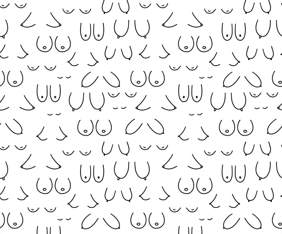 Witty tiny pencil drawings of all kinds of breasts some with nipples and some without 