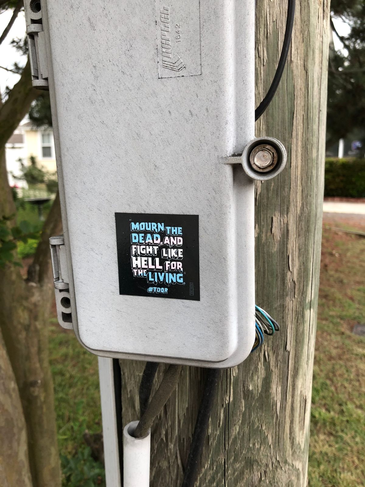 A Trans Rights Sticker in an Unlikely Town: Guest Writer Djuna Donne