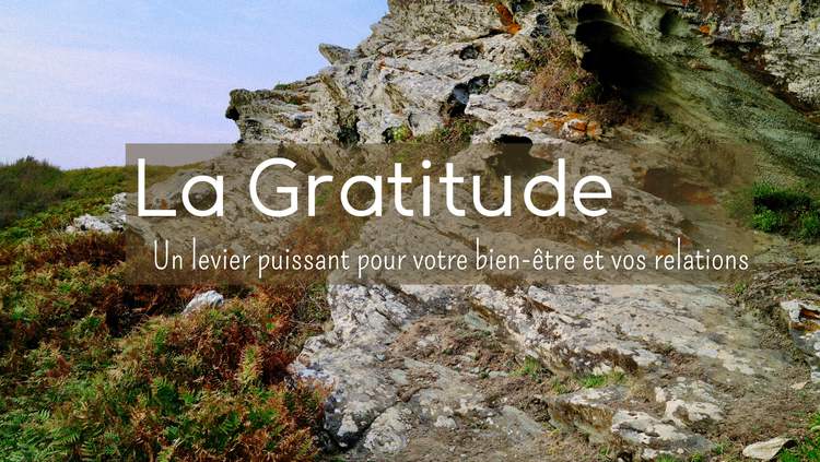 La Gratitude : un levier puissant pour votre bien-être et vos relations