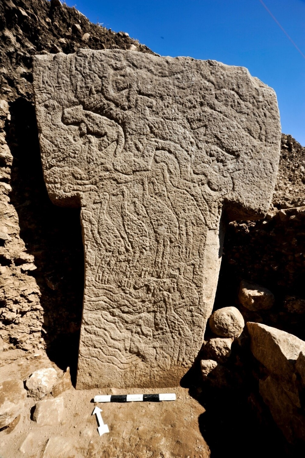 T-shaped upright pillar with images of animals, reptiles and birds 