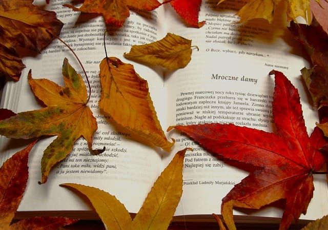 Red leaves on a book with text