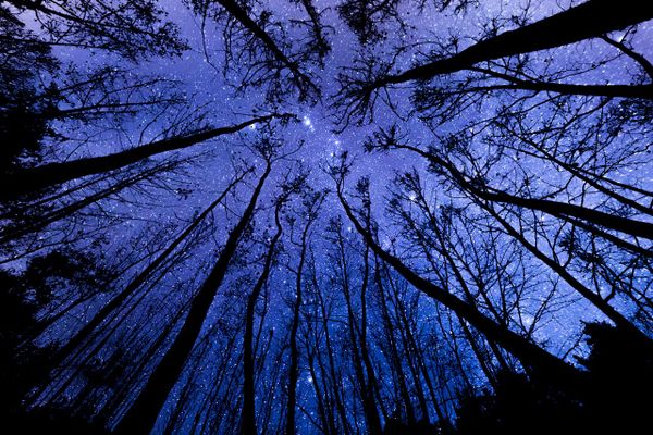 Wanderer's Tales #13 - Darkness