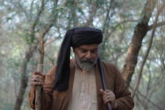 Elderly man walking in a forest with a staff