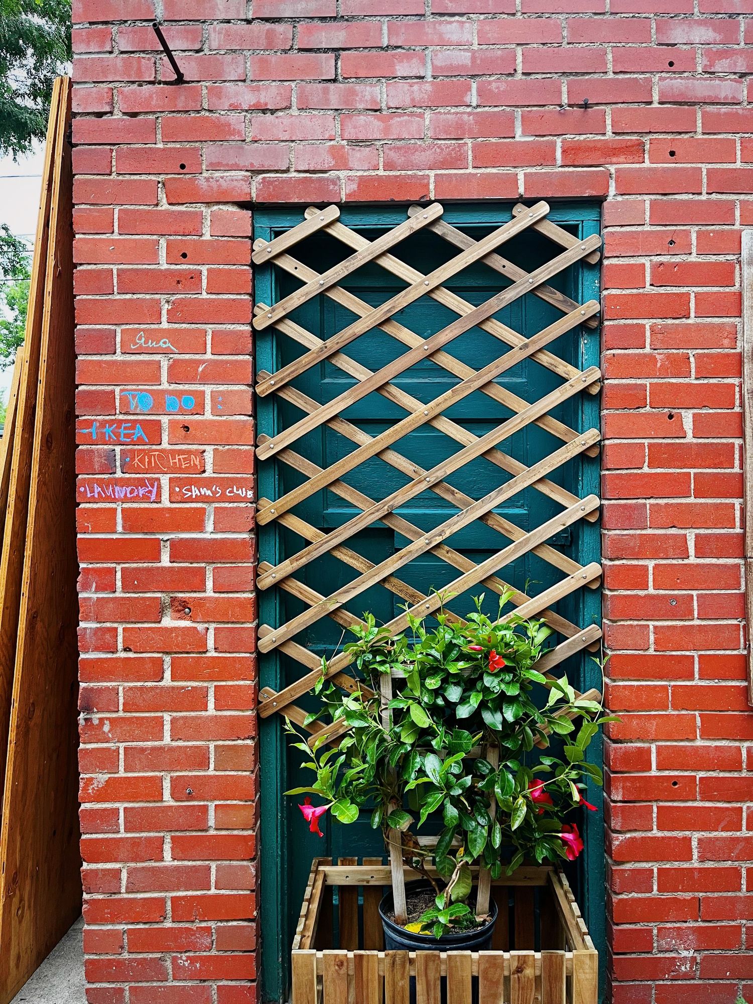 Embracing Life Outside My Bubble: Finding Like-Minded Souls